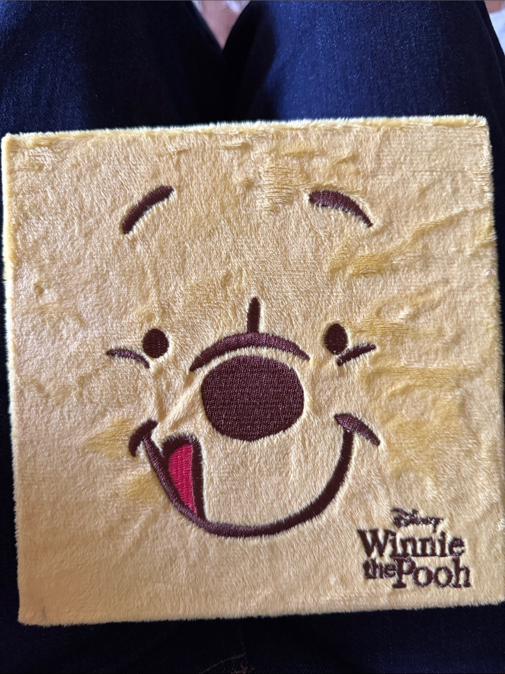 Plush Winnie the Pooh Eyeshadow palette, NWOT